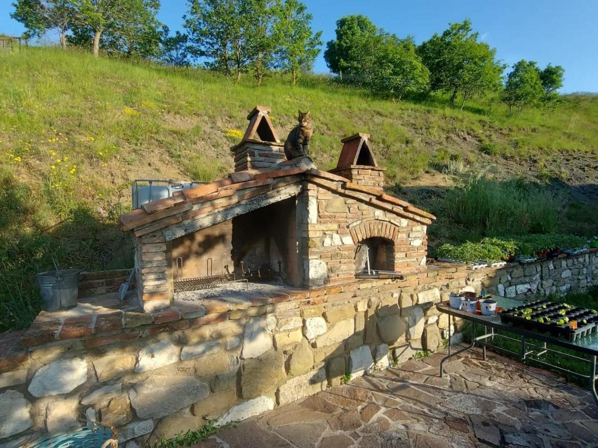 Bnb Bagno Di Bosco Gubbio Exteriör bild