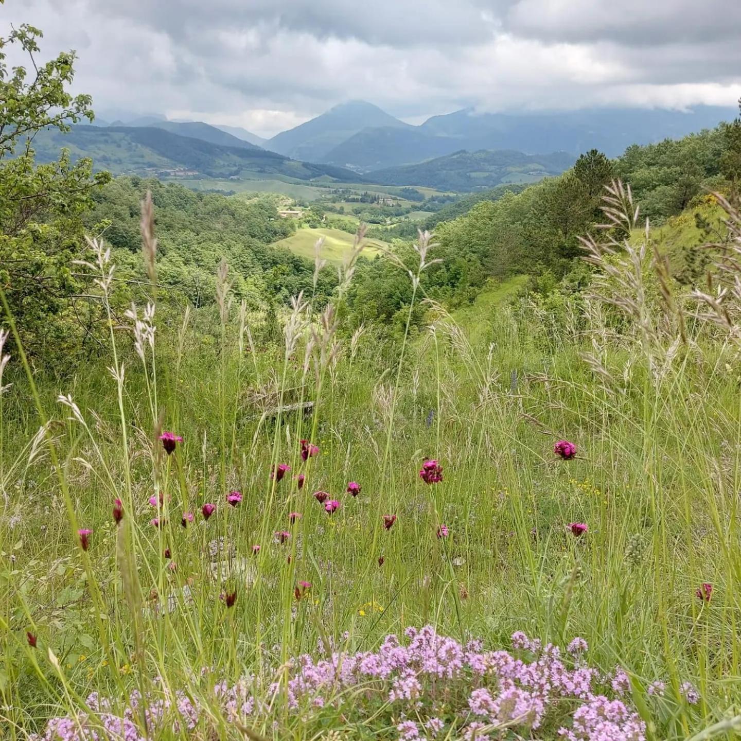 Bnb Bagno Di Bosco Gubbio Exteriör bild