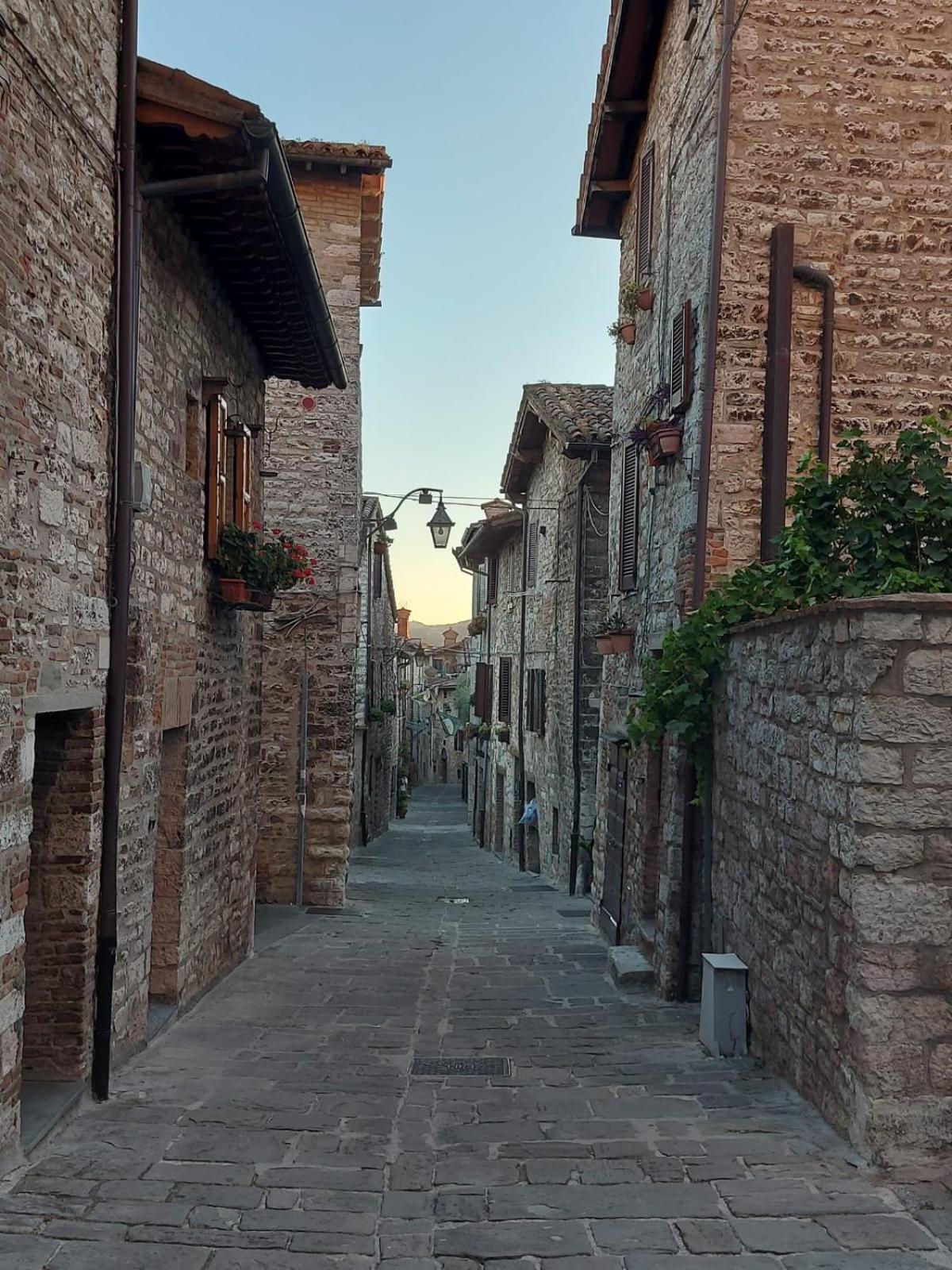 Bnb Bagno Di Bosco Gubbio Exteriör bild